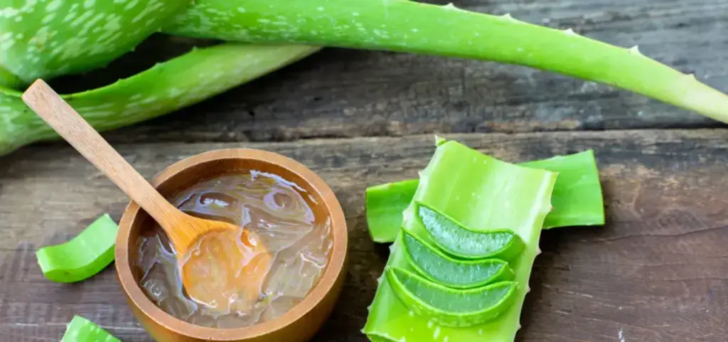 Aloe Vera from Aloe Ferox Canada